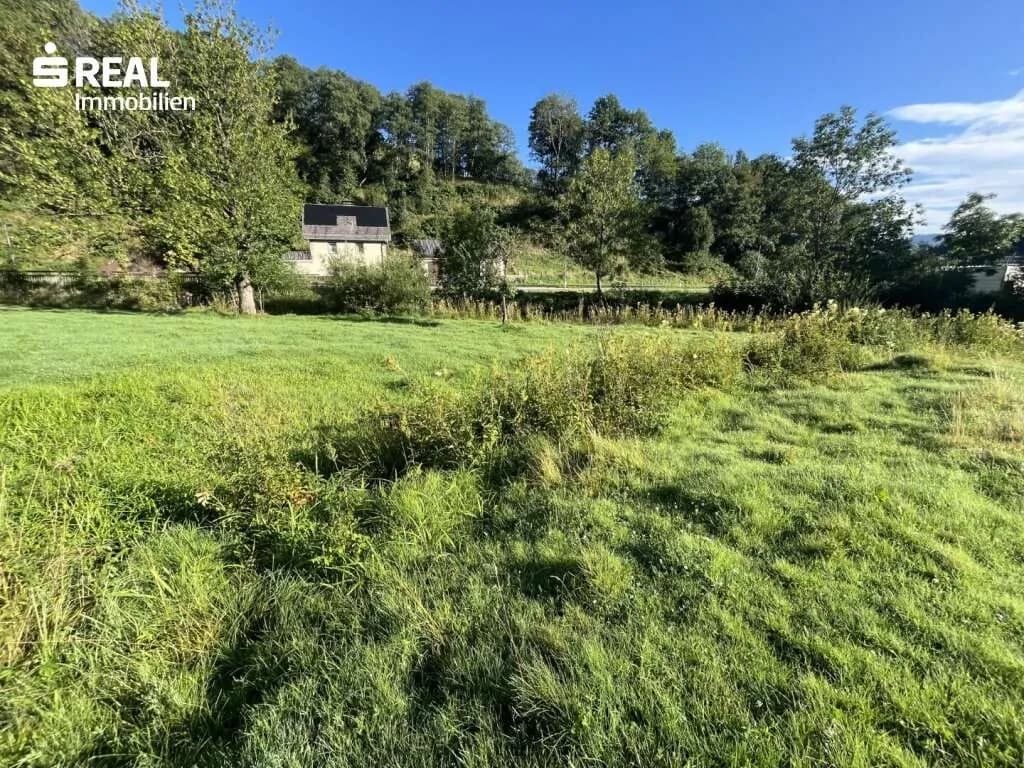 5-Zimmer-Haus kaufen in Murau – 7 963 m², € 340.000 – Bild 4 von 14