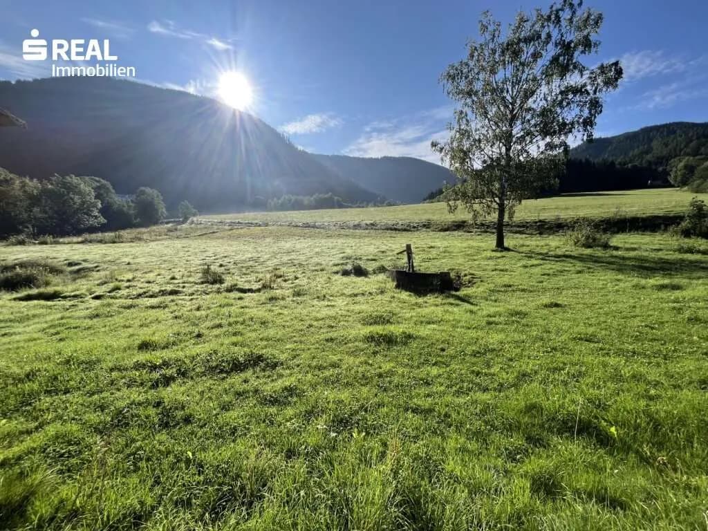 5-Zimmer-Haus kaufen in Murau – 7 963 m², € 340.000 – Bild 9 von 14