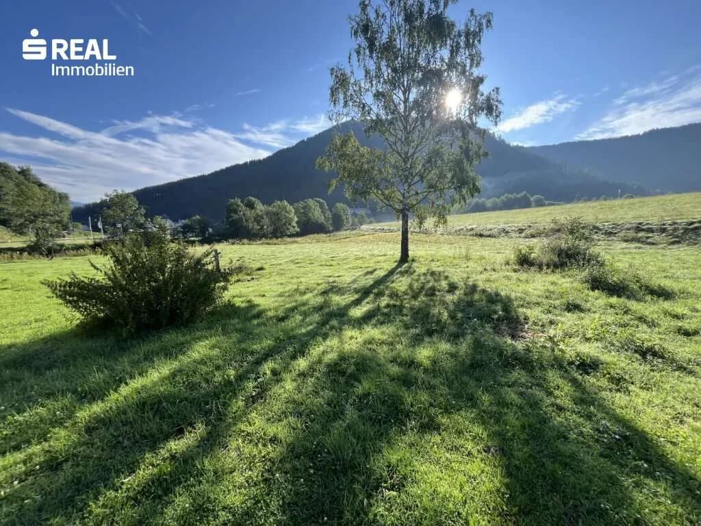 5-Zimmer-Haus kaufen in Murau – 7 963 m², € 340.000 – Bild 10 von 14