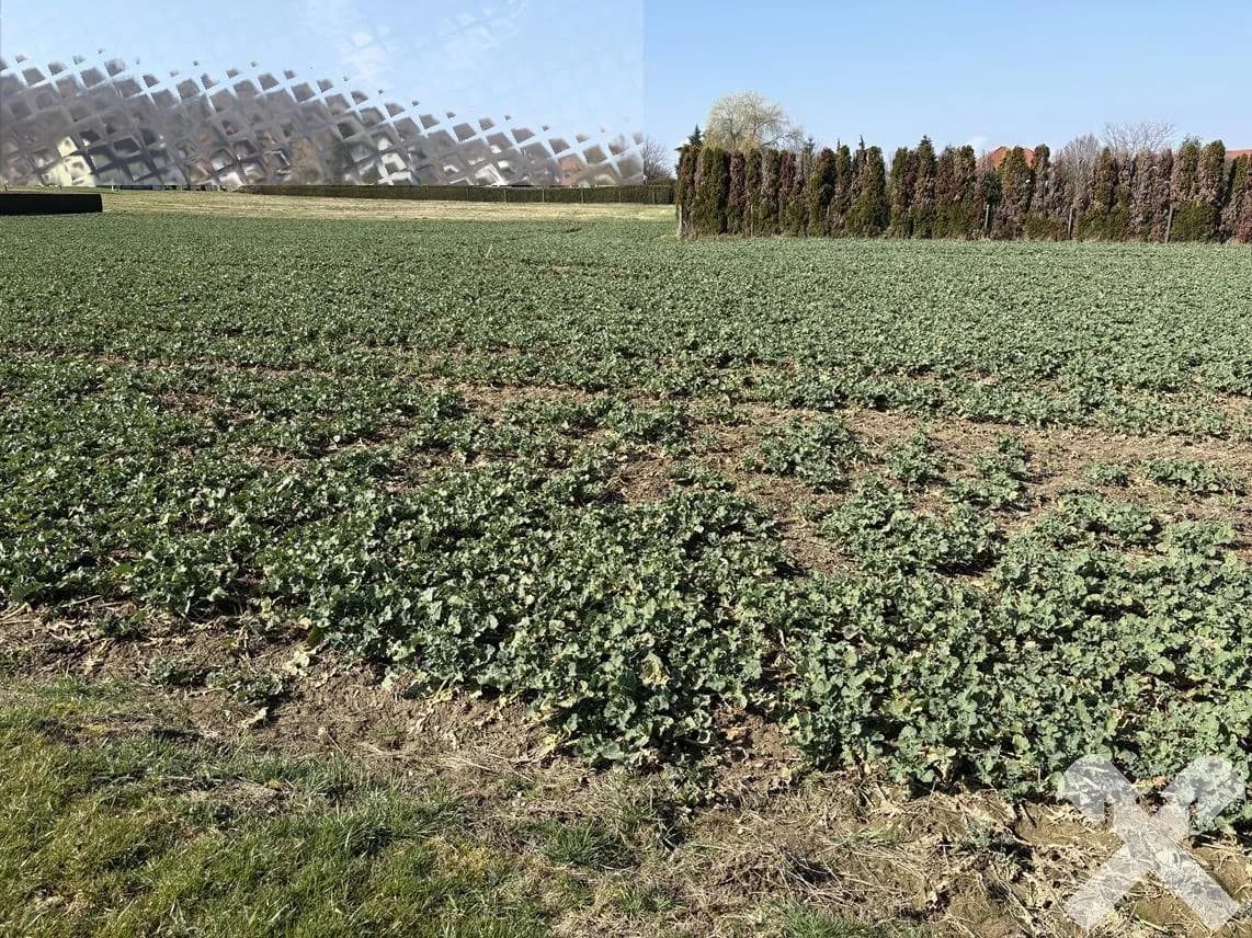 Grundstück kaufen in Südoststeiermark – 7 784 m², € 661.640 – Bild 3 von 6
