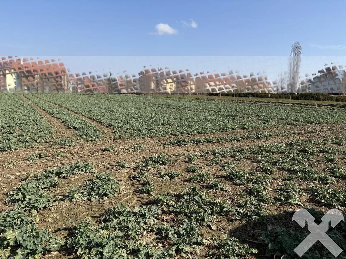 Grundstück kaufen in Südoststeiermark – 7 784 m², € 661.640 – Bild 6 von 6