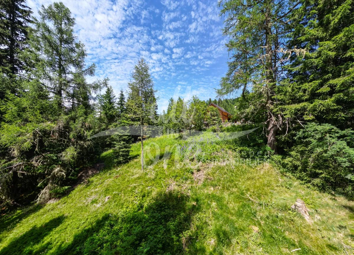 Grundstück kaufen in Sankt Veit an der Glan – 2 577 m², € 99.000 – Bild 3 von 6