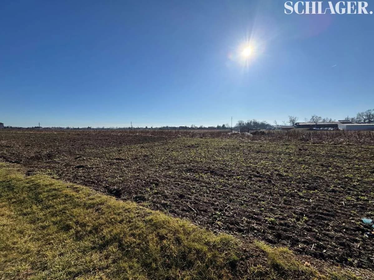 Immobilie kaufen in Leibnitz – 5 000 m²