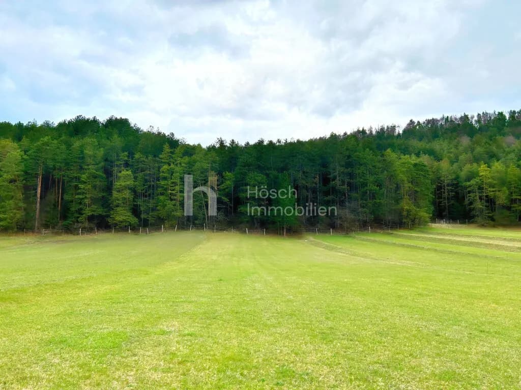 Grundstück kaufen in Wiener Neustadt Land – 7 995 m², € 579.000