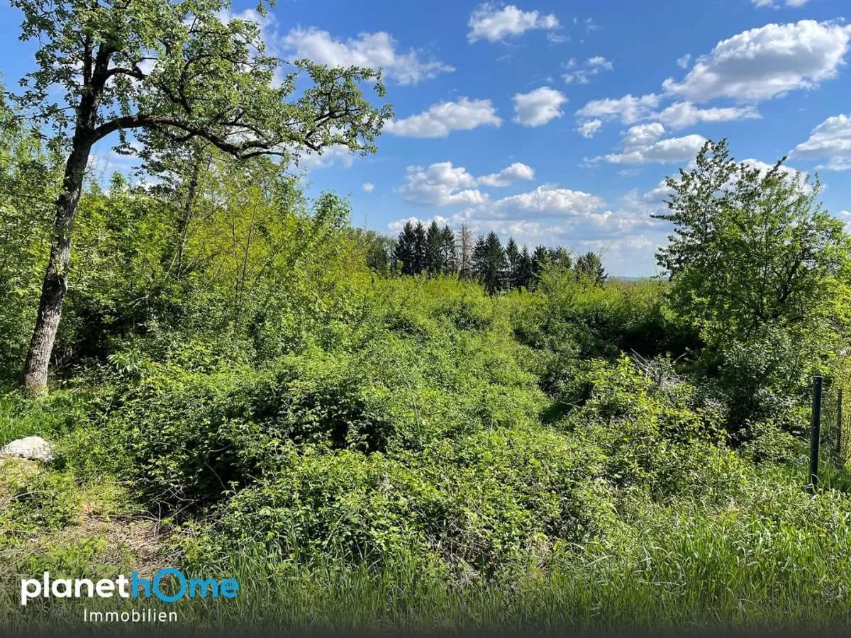 Grundstück kaufen in Oberwart – 1 618 m², € 39.000 – Bild 3 von 8