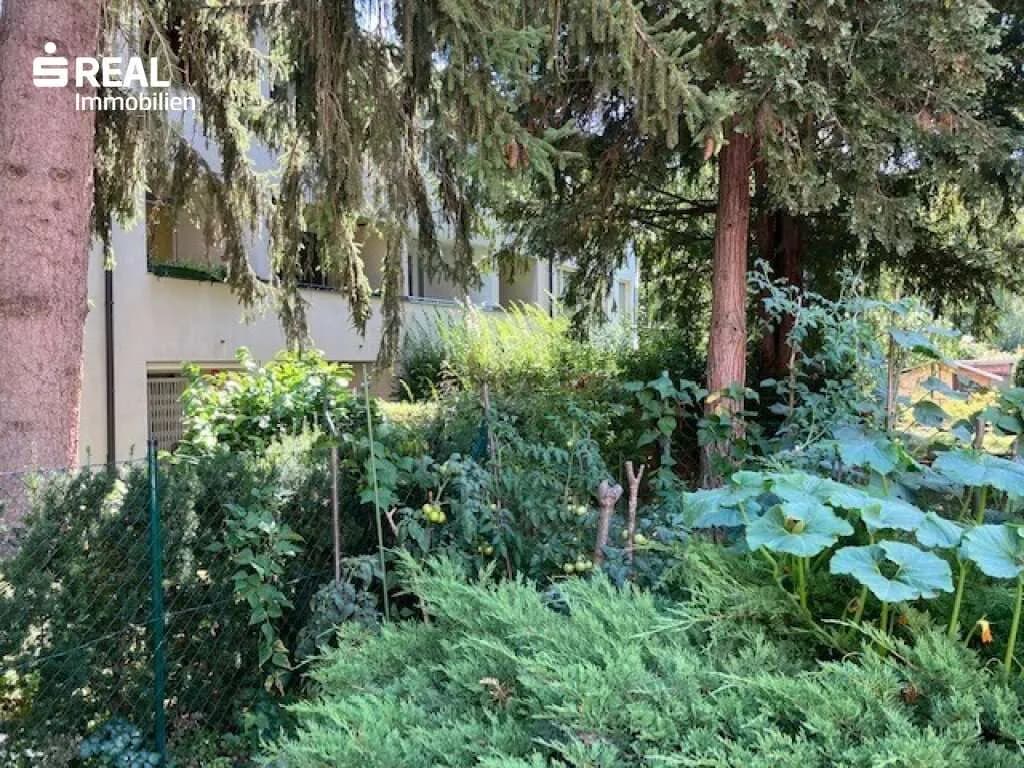 Wohnung kaufen in Wien – 120 m², € 499.000 – Bild 5 von 7
