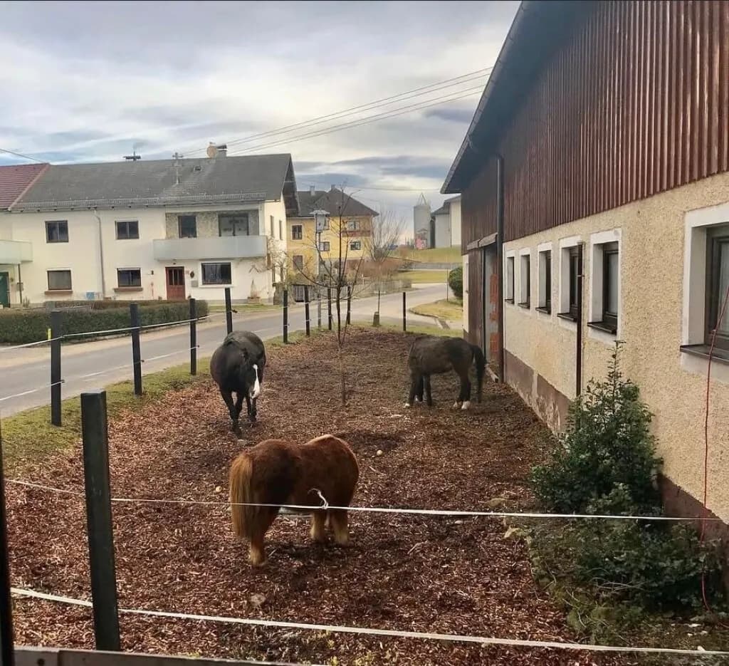 Immobilie kaufen in Urfahr-Umgebung – 240 m², € 790.000 – Bild 26 von 30