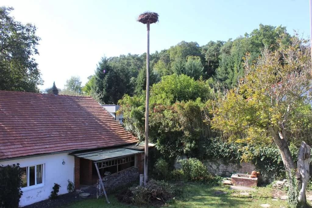 6-Zimmer-Haus kaufen in Oberwart – 240 m², € 280.000 – Bild 6 von 19