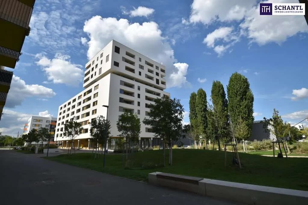 Gewerbeimmobilie kaufen in Wien – 185 m², € 399.000 – Bild 3 von 11