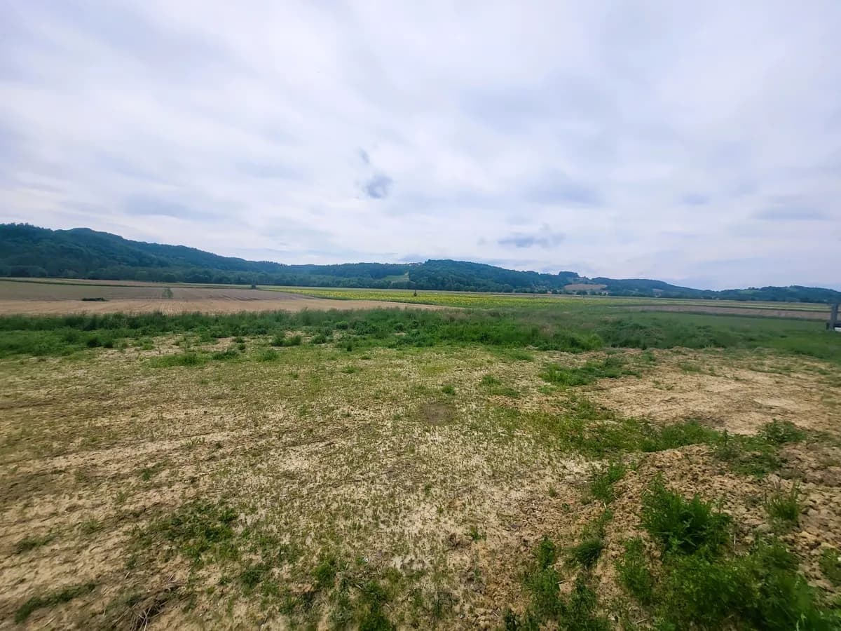 Grundstück kaufen in Hartberg-Fürstenfeld – € 48.824 – Bild 8 von 19