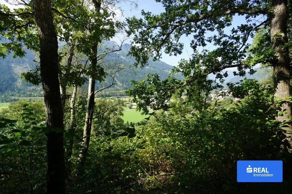 Grundstück kaufen in Spittal an der Drau – 14 986 m², € 95.000 – Bild 2 von 8