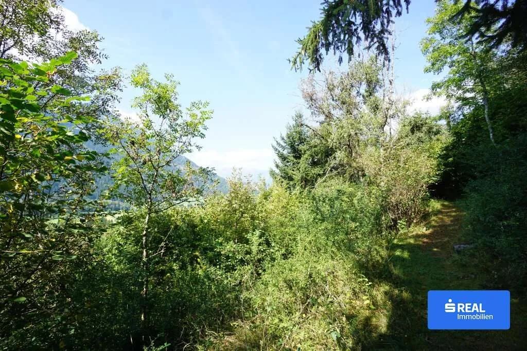 Grundstück kaufen in Spittal an der Drau – 14 986 m², € 95.000 – Bild 3 von 8