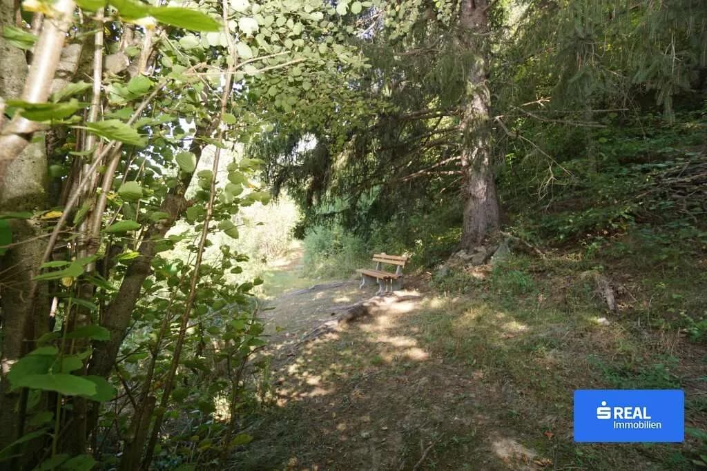 Grundstück kaufen in Spittal an der Drau – 14 986 m², € 95.000 – Bild 4 von 8