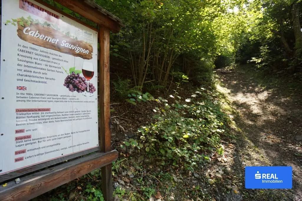 Grundstück kaufen in Spittal an der Drau – 14 986 m², € 95.000 – Bild 7 von 8