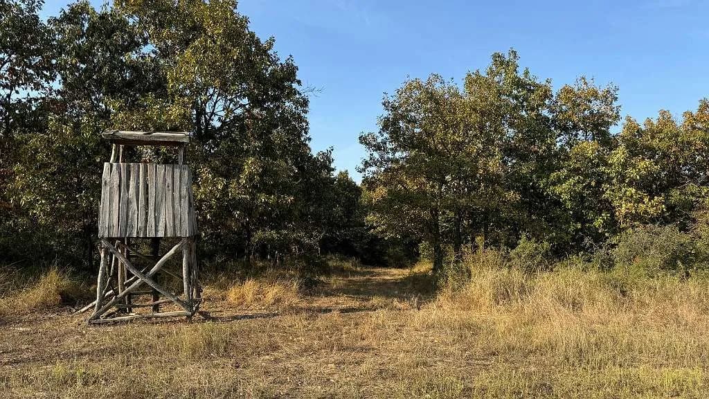 Grundstück kaufen in Österreich – 3 002 m², € 16.200 – Bild 4 von 23