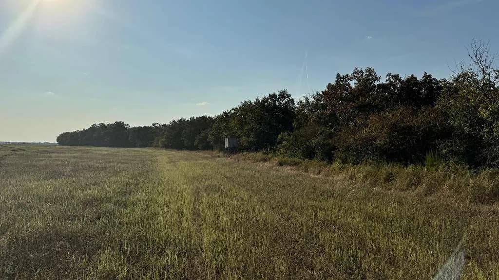 Grundstück kaufen in Österreich – 3 002 m², € 16.200 – Bild 5 von 23