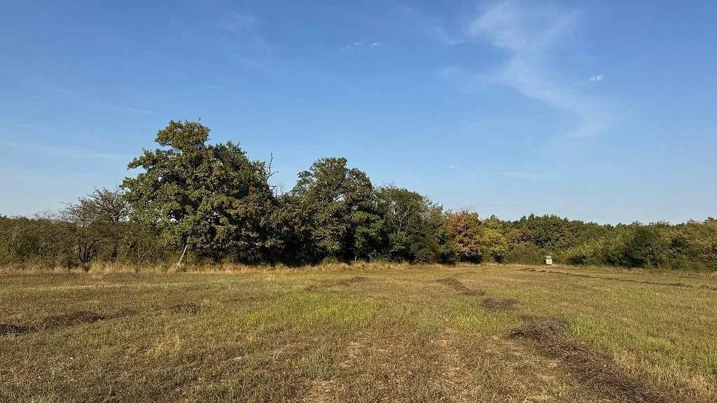 Grundstück kaufen in Österreich – 3 002 m², € 16.200 – Bild 11 von 23