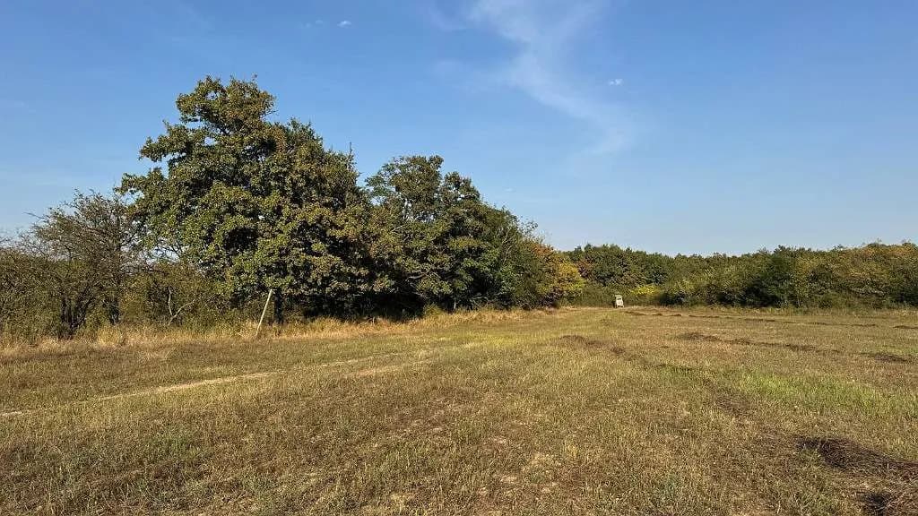 Grundstück kaufen in Österreich – 3 002 m², € 16.200 – Bild 13 von 23