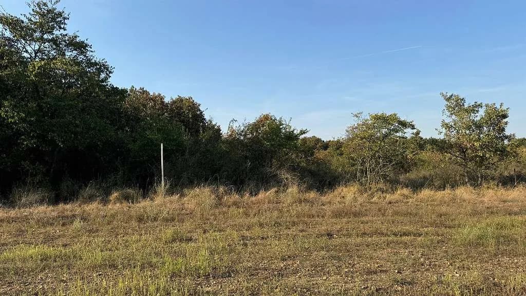 Grundstück kaufen in Österreich – 3 002 m², € 16.200 – Bild 15 von 23