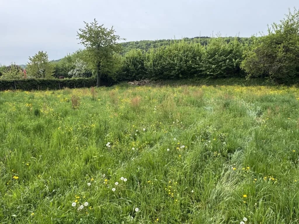 Immobilie kaufen in Urfahr-Umgebung – 3 731 m², € 950.000 – Bild 6 von 24