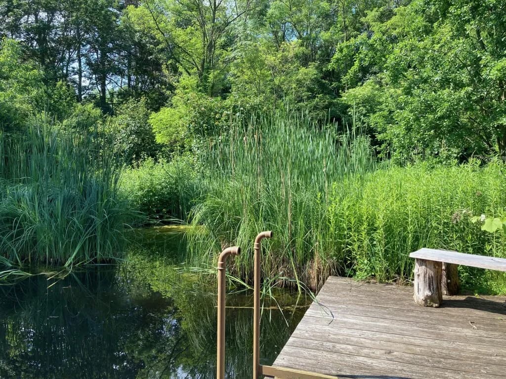 5-Zimmer-Haus kaufen in Neusiedl am See – 158 m², € 700.000 – Bild 18 von 24