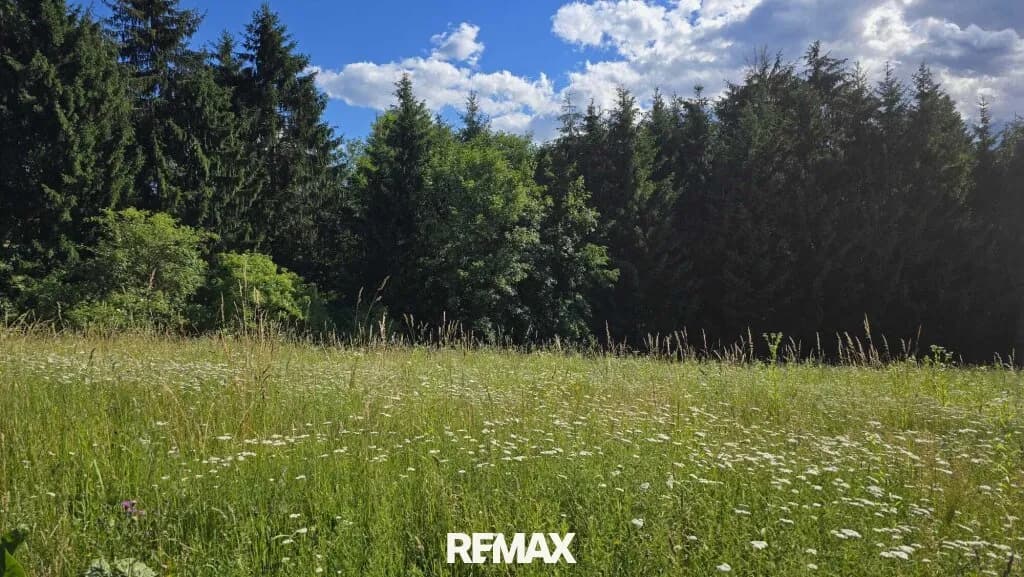 Grundstück kaufen in Deutschlandsberg – 16 942 m², € 134.900 – Bild 4 von 8