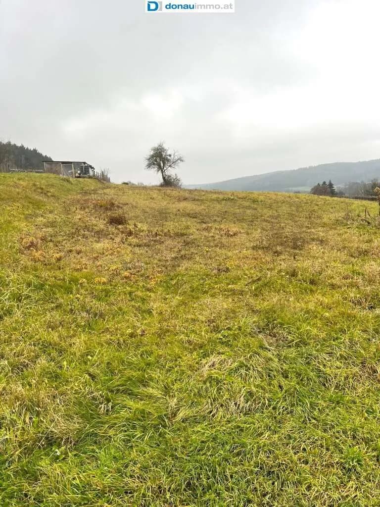 Grundstück kaufen in Güssing – 5 616 m², € 80.000