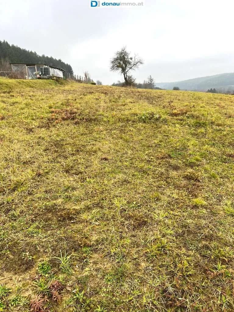 Grundstück kaufen in Güssing – 5 616 m², € 80.000 – Bild 2 von 5