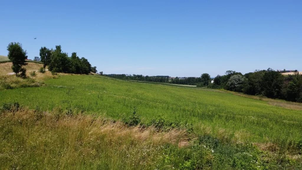 Grundstück kaufen in Linz Land – 2 732 m², € 295.000 – Bild 13 von 13