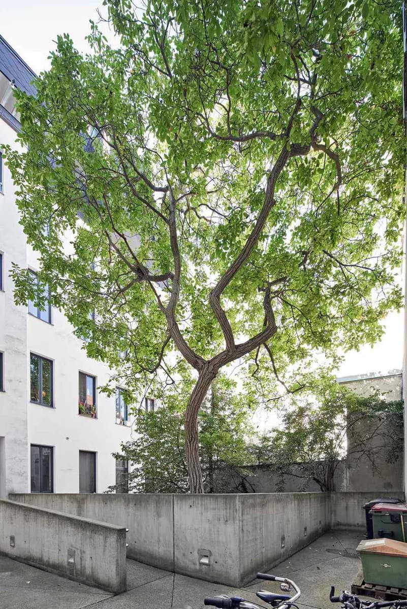 1-Zimmer-Wohnung kaufen in Wien – 30,22 m², € 59.000 – Bild 9 von 16