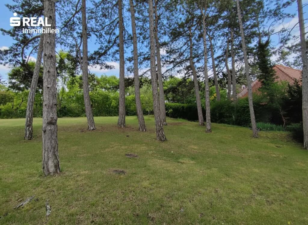 Grundstück kaufen in Mödling – 1 550 m², € 890.000 – Bild 4 von 13