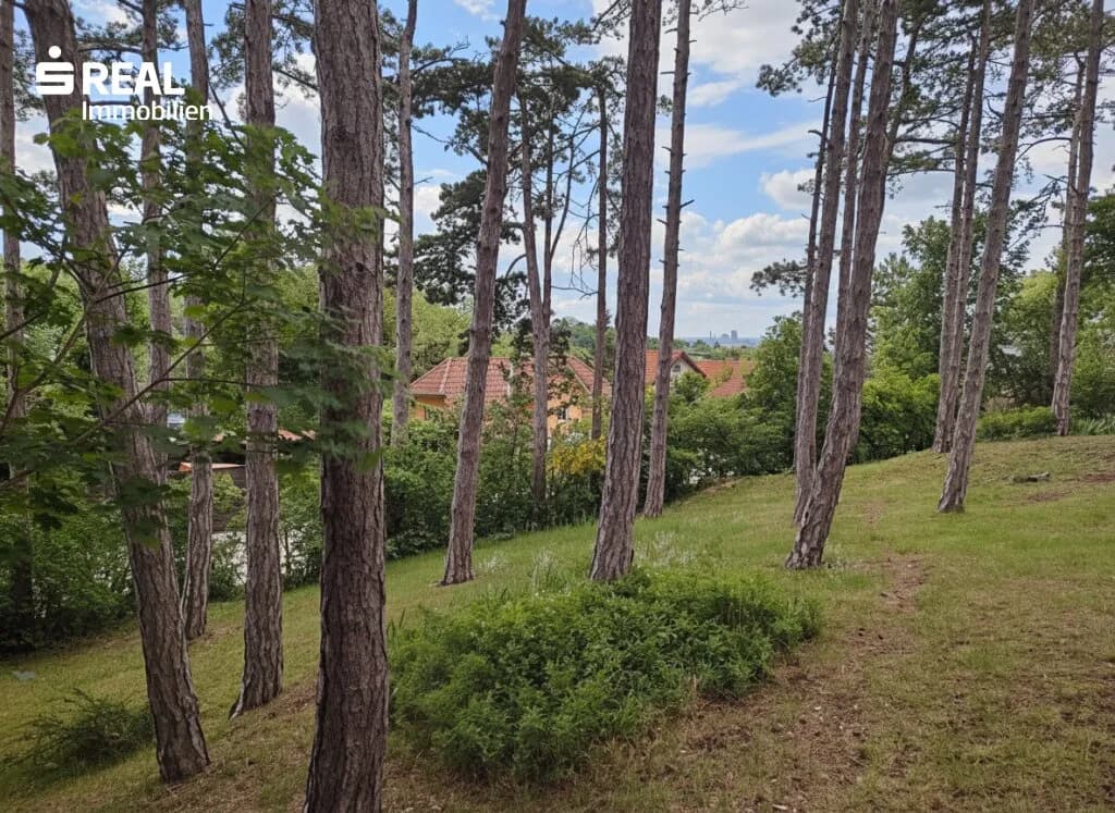 Grundstück kaufen in Mödling – 1 550 m², € 890.000 – Bild 9 von 13