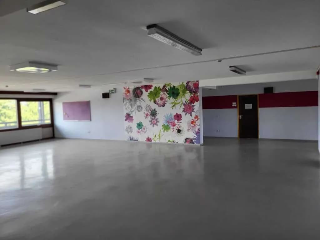 Gewerbeimmobilie mieten in Leibnitz – 4 000 m² – Bild 2 von 10