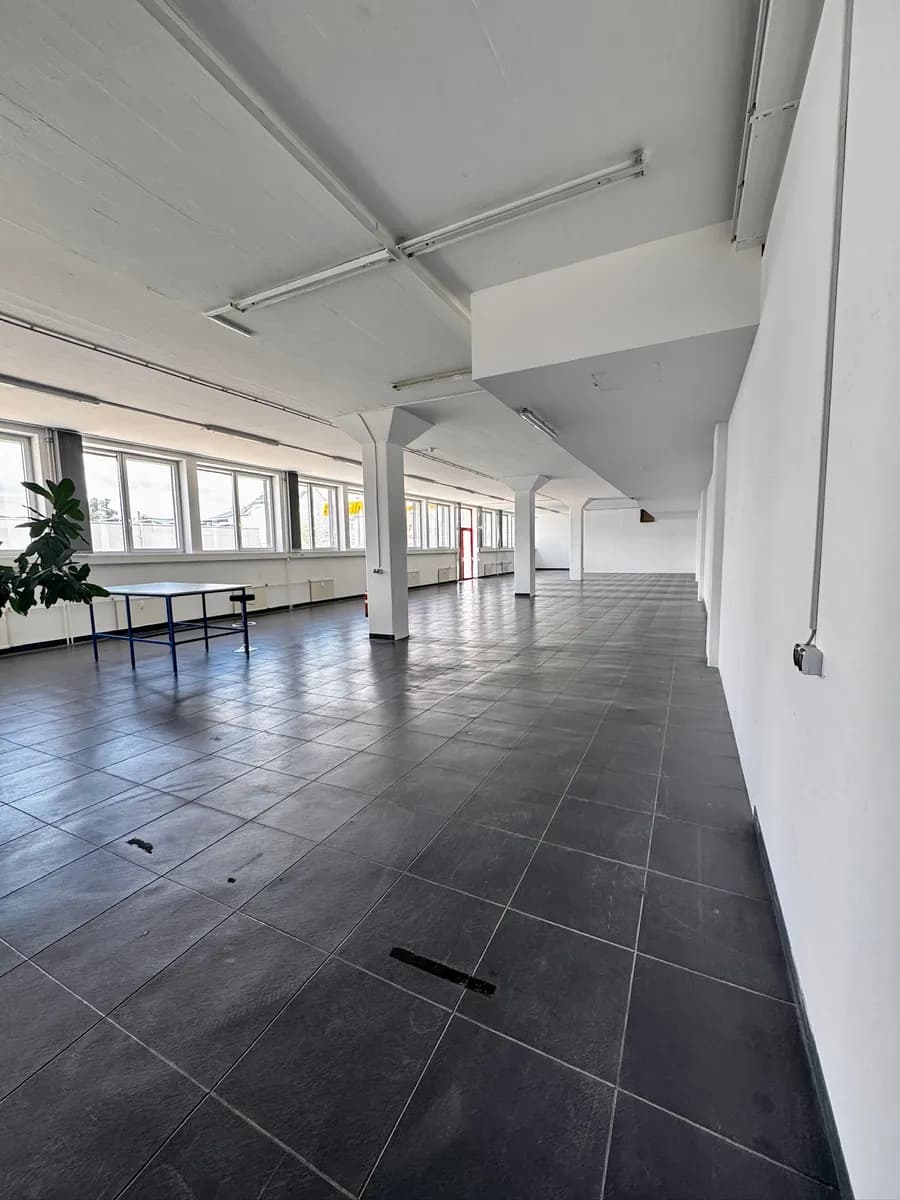 Gewerbeimmobilie mieten in Mödling – 374 m², € 4.800 – Bild 3 von 9
