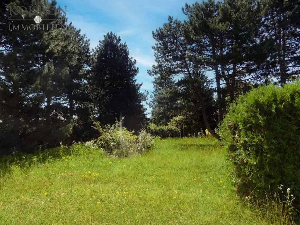 Grundstück kaufen in Gänserndorf – 1 001 m², € 339.000 – Bild 5 von 7