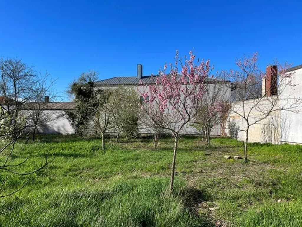 Grundstück kaufen in Neusiedl am See – 1 096 m², € 240.000 – Bild 3 von 5