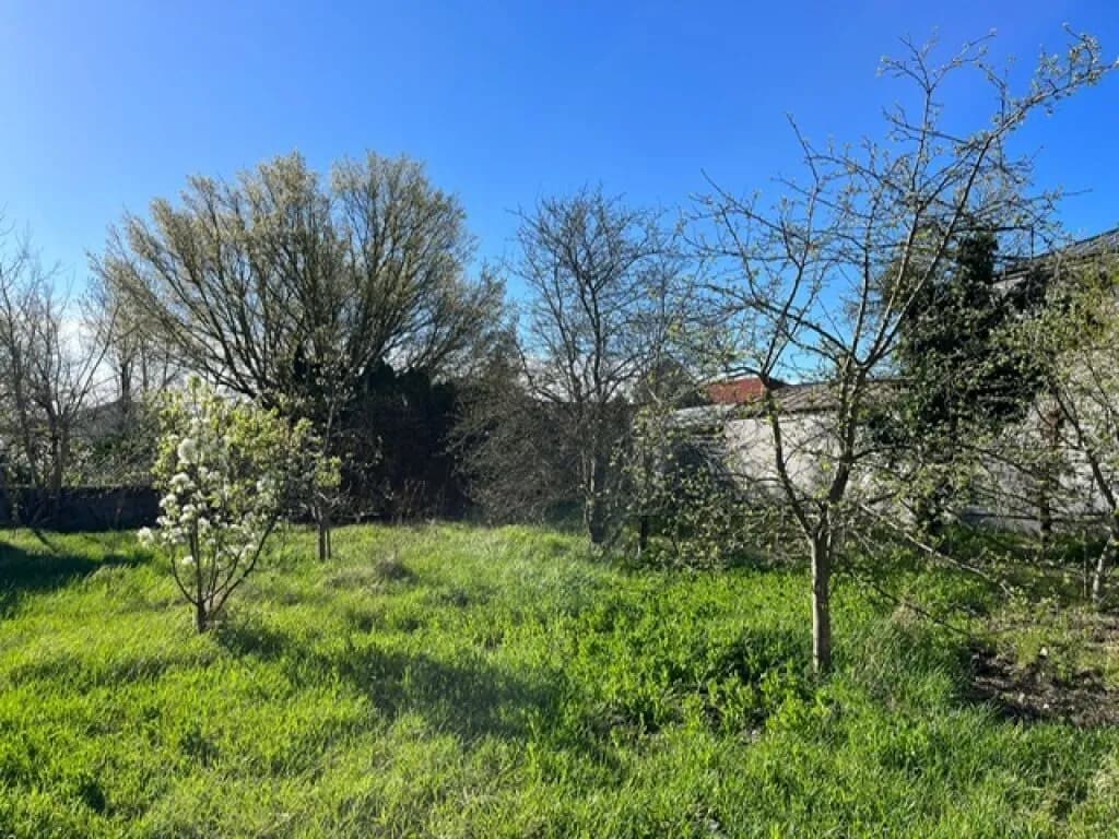 Grundstück kaufen in Neusiedl am See – 1 096 m², € 240.000 – Bild 4 von 5