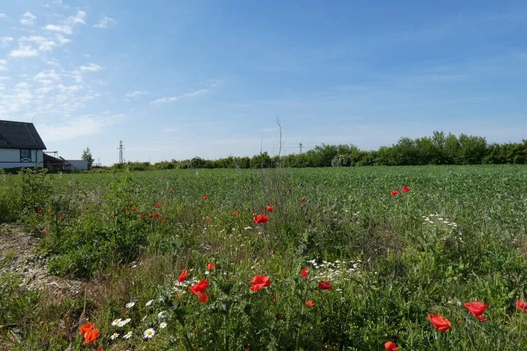 Grundstück kaufen in Neusiedl am See – 632 m², € 183.000 – Bild 2 von 5