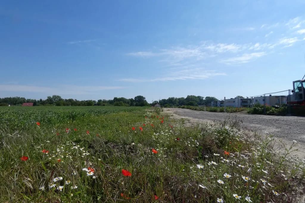 Grundstück kaufen in Neusiedl am See – 632 m², € 183.000 – Bild 3 von 5