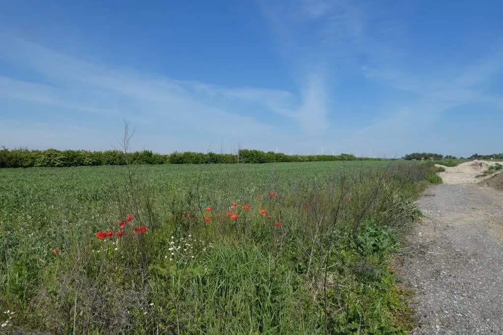 Grundstück kaufen in Neusiedl am See – 632 m², € 183.000 – Bild 4 von 5