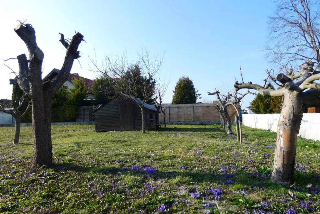 Grundstück kaufen in Neusiedl am See – 810 m², € 398.000 – Bild 4 von 5