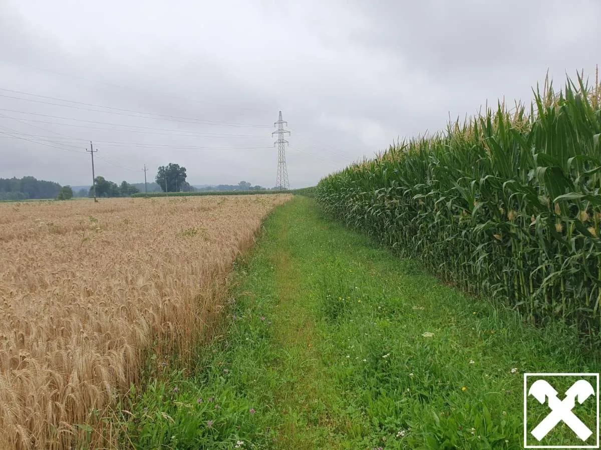 Grundstück kaufen in Braunau am Inn – 17 041 m², € 204.492