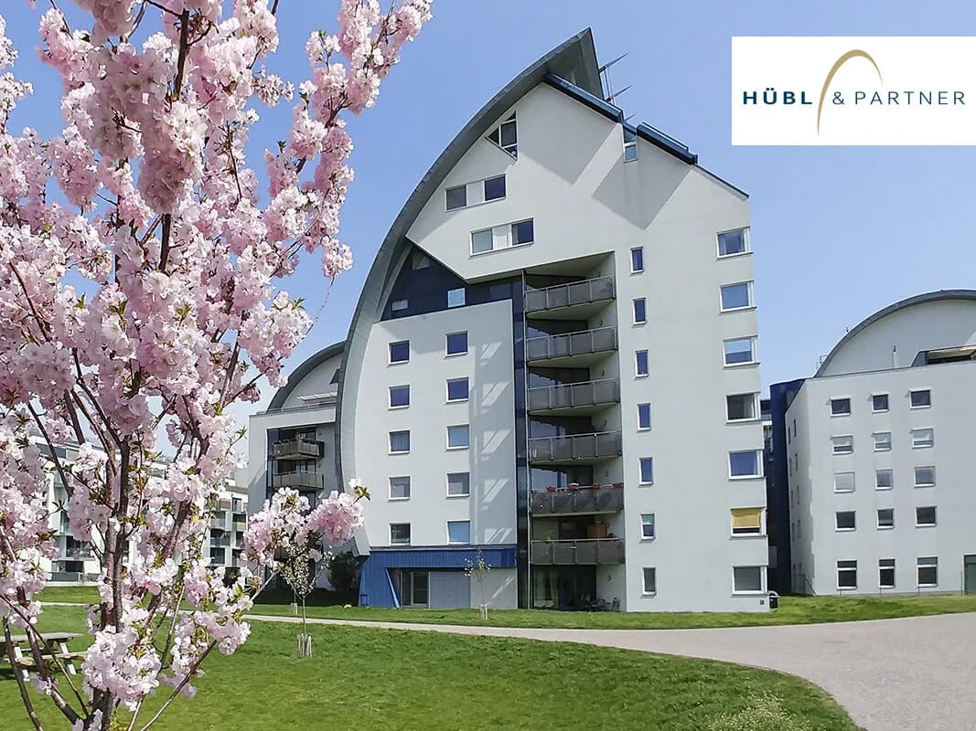 3-Zimmer-Wohnung mieten in Wien – 82,56 m², € 1.599 – Bild 20 von 20