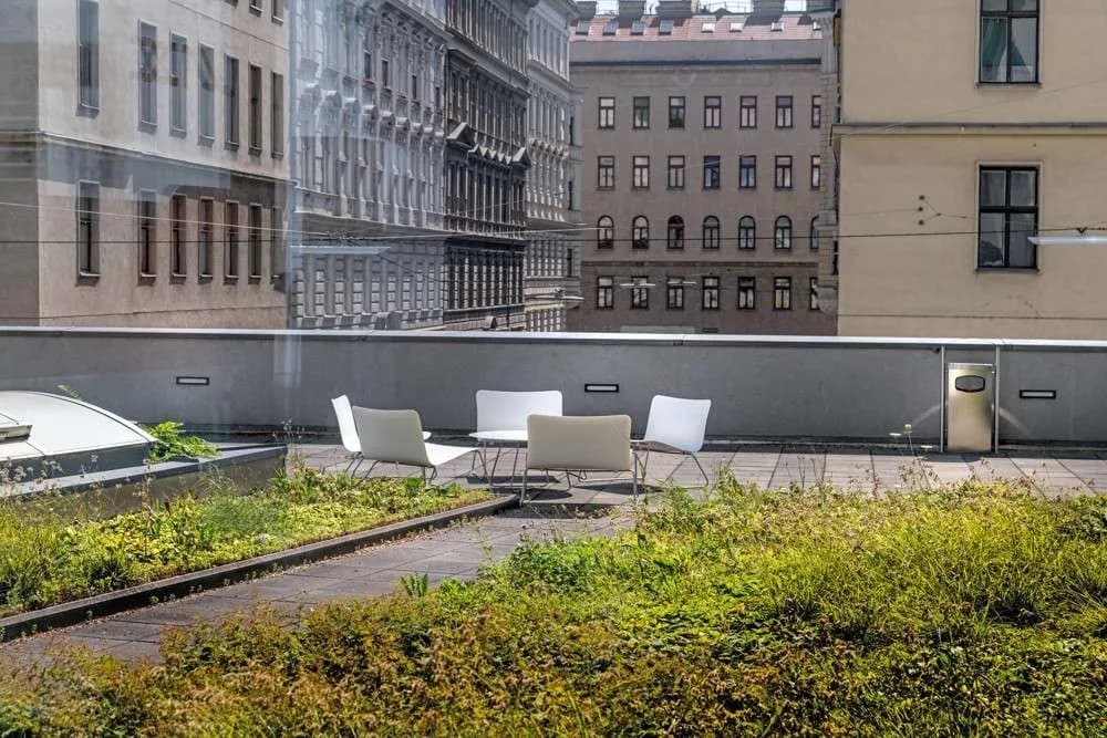 Gewerbeimmobilie mieten in Wien – 605 m², € 19 – Bild 10 von 17