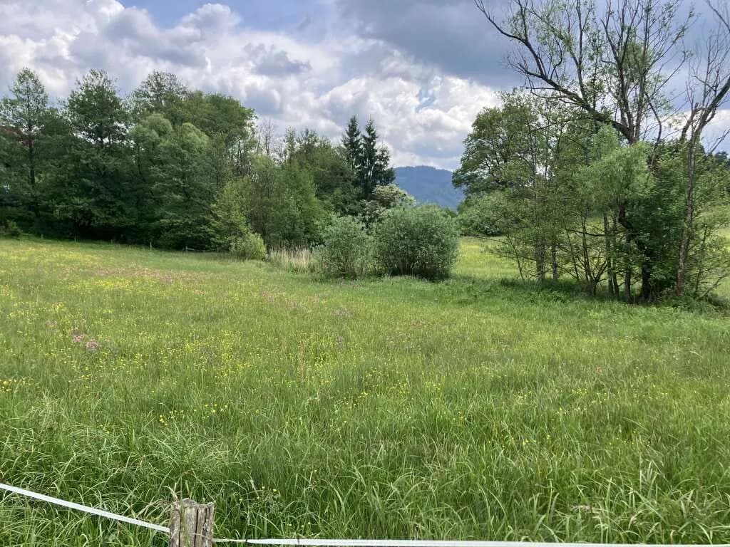 Grundstück kaufen in Sankt Veit an der Glan – 2 000 m², € 175.000