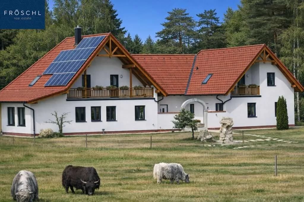 9-Zimmer-Immobilie kaufen in Gmünd – 366 m², € 1.120.000 – Bild 2 von 46
