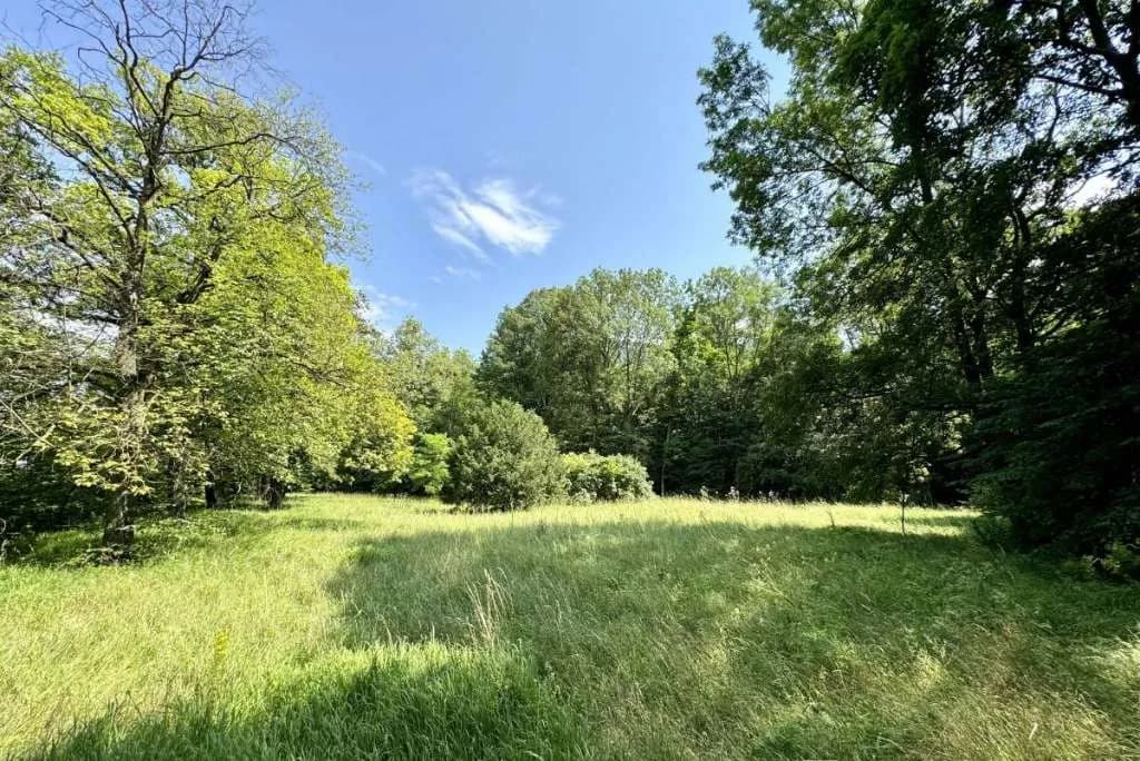 9-Zimmer-Haus kaufen in Baden – 310 m², € 690.000 – Bild 8 von 10