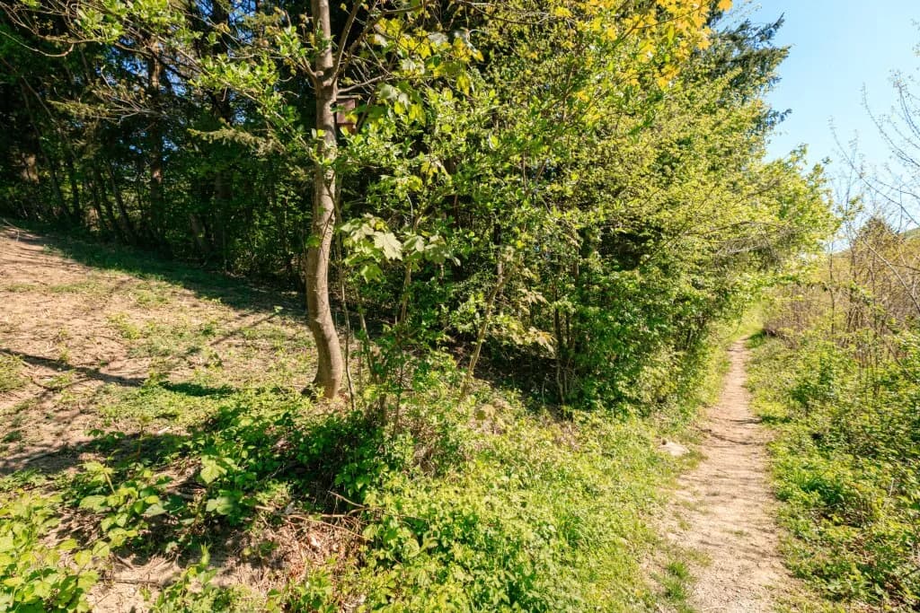 Grundstück kaufen in Sankt Pölten Land – 1 516 m², € 499.000 – Bild 6 von 8