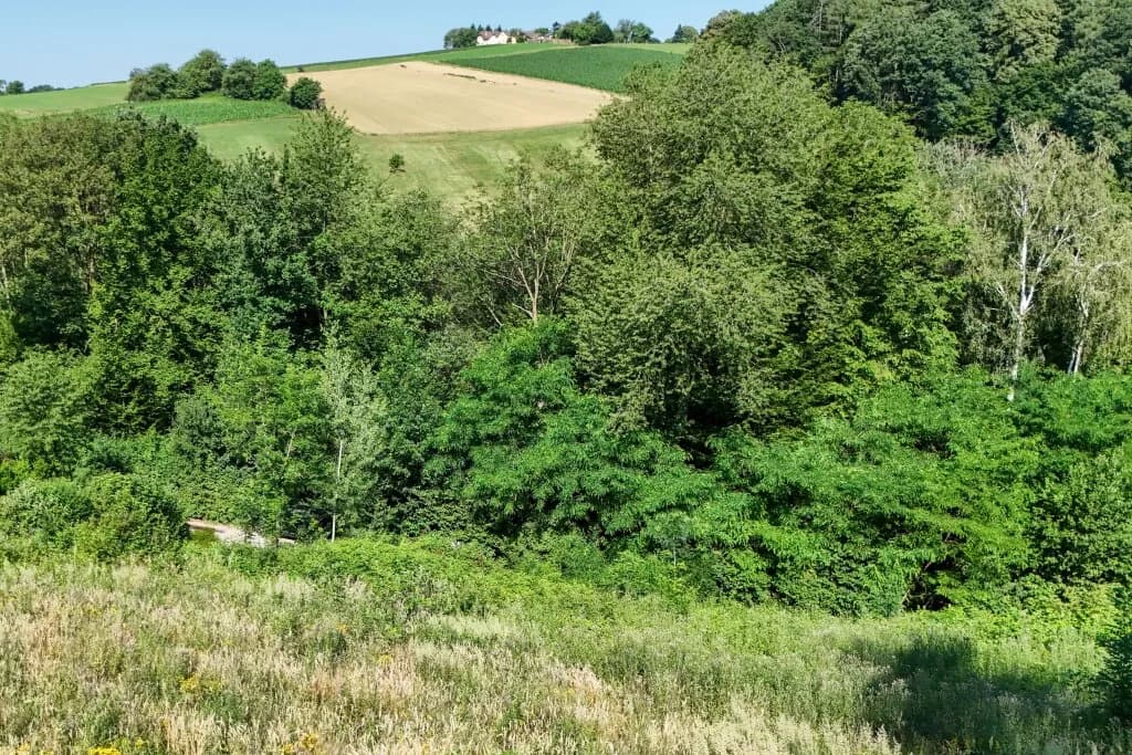 Grundstück kaufen in Sankt Pölten Land – 1 639 m², € 190.000 – Bild 5 von 7