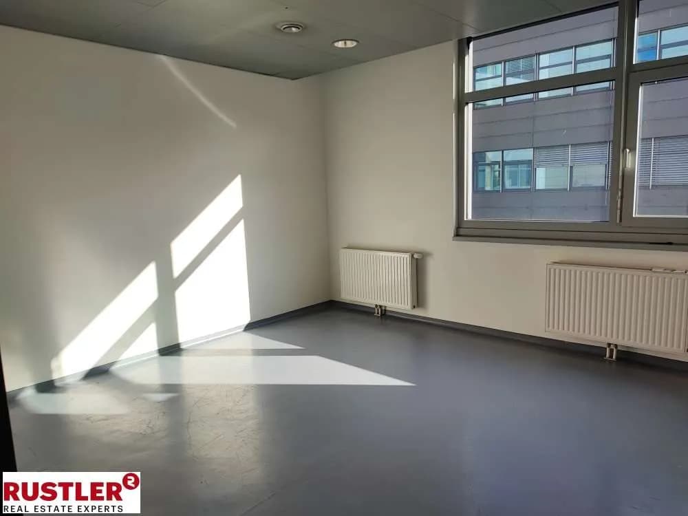 Gewerbeimmobilie mieten in Wien – 494 m², € 9.040 – Bild 4 von 12
